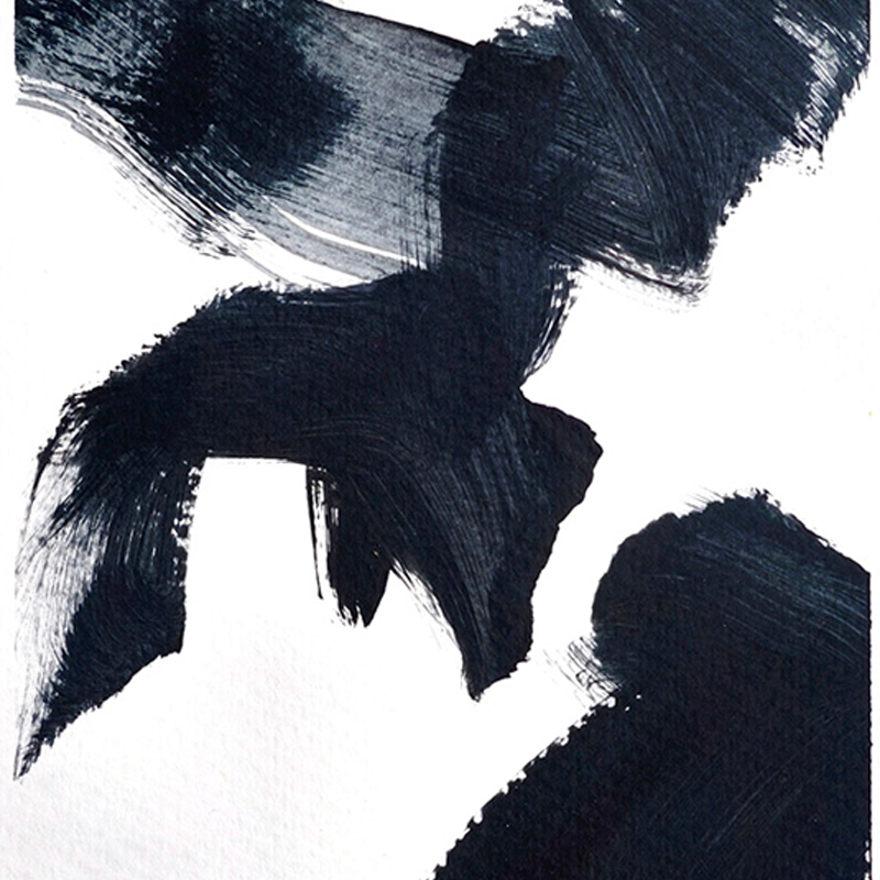 Shadow Fragments